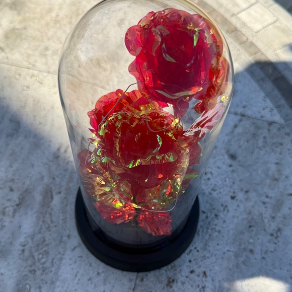 Red Glass Dome with Roses - Picture 3 of 6